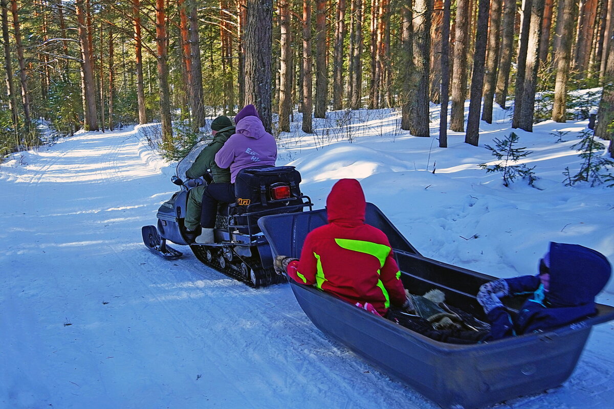 Последние удовольствия зимы - Галина Кан
