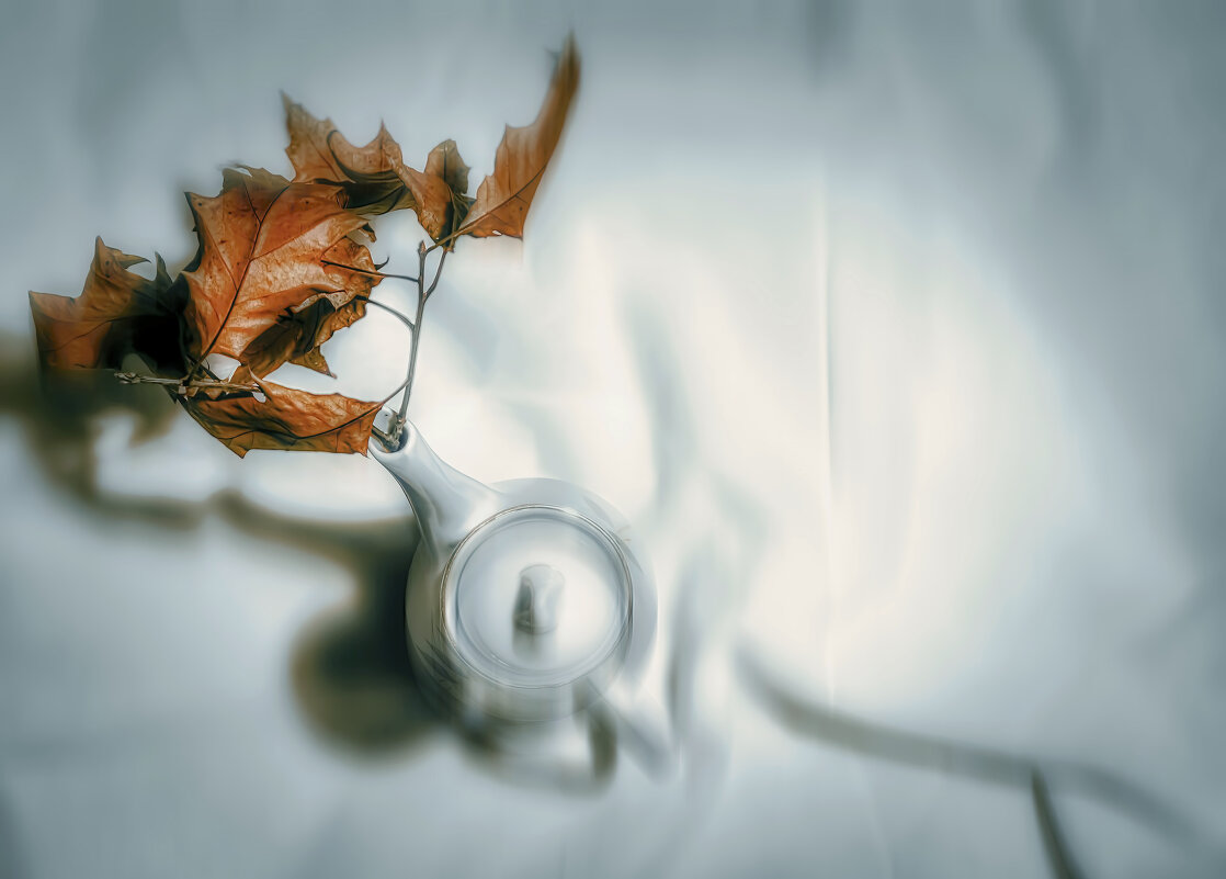 Осенний чай. - Владимир Владимир Осенний чай. - Владимир Владимир