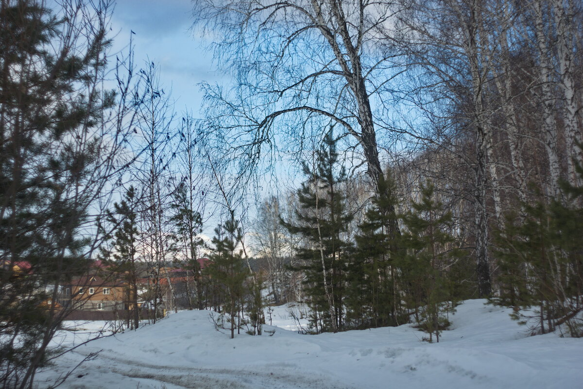 В Щербаково. Март 2025. - Михаил Полыгалов В Щербаково. Март 2025. - Михаил Полыгалов