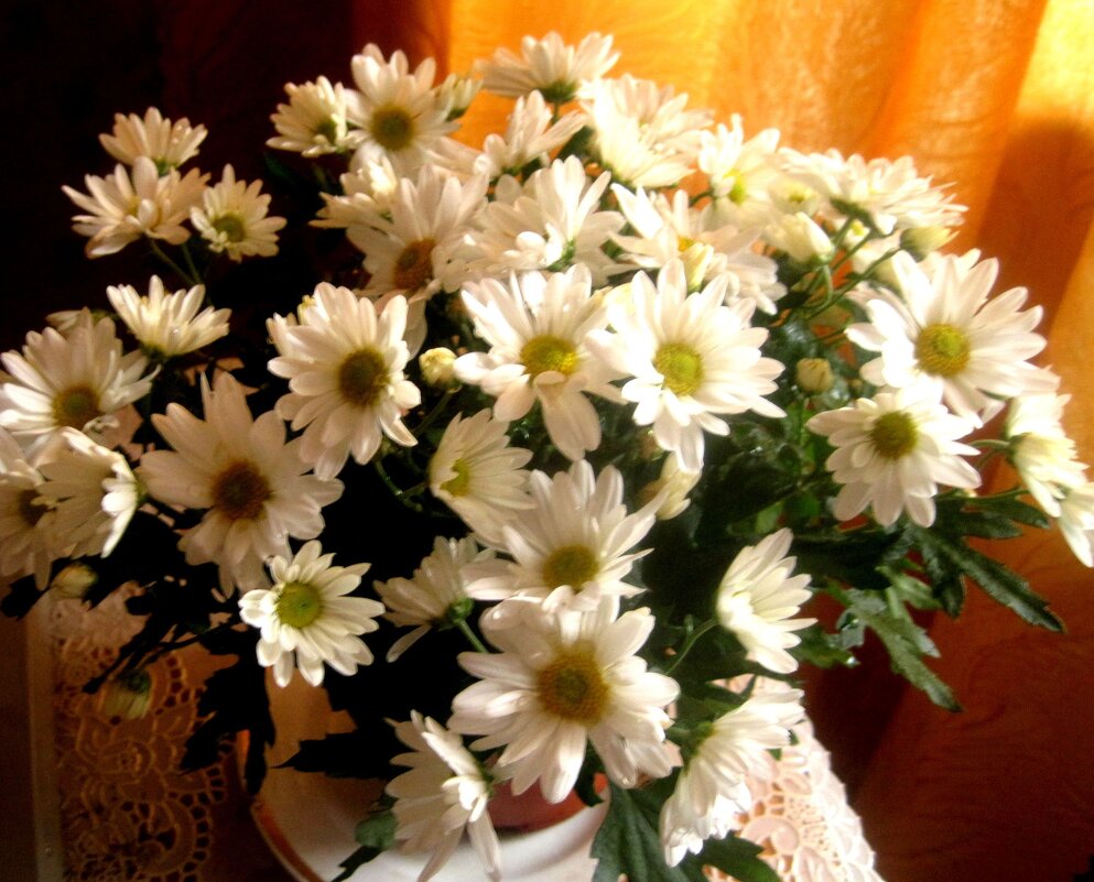 Хризантемы - Елена Семигина Хризантемы - Елена Семигина