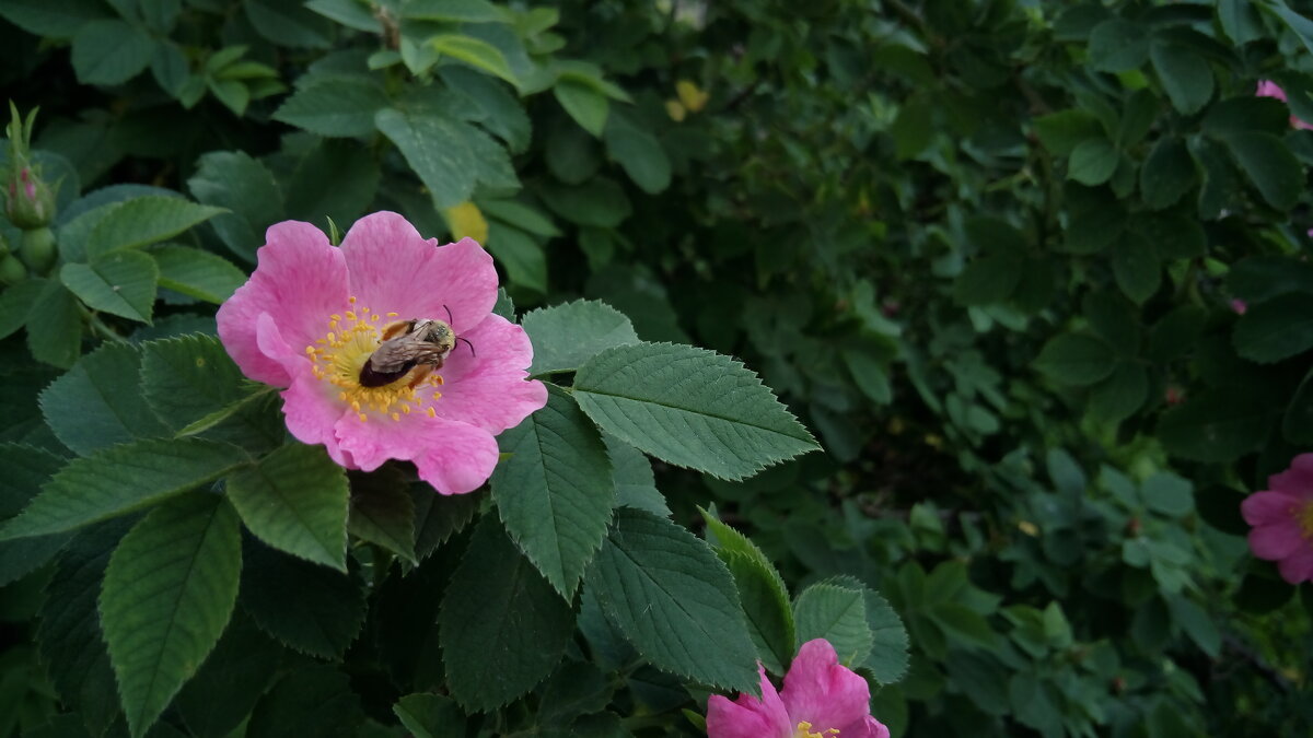 ,,, - Сергей Тимоновский