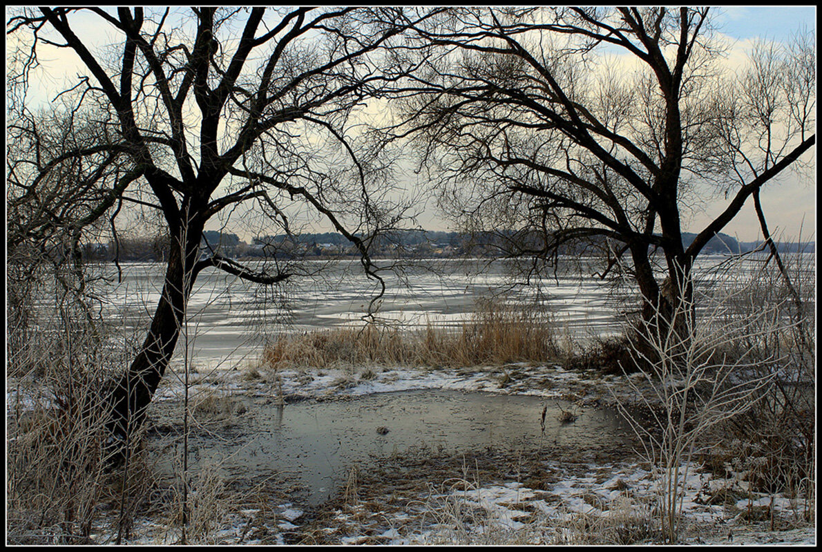 *** - Aleksandr Gal *** - Aleksandr Gal