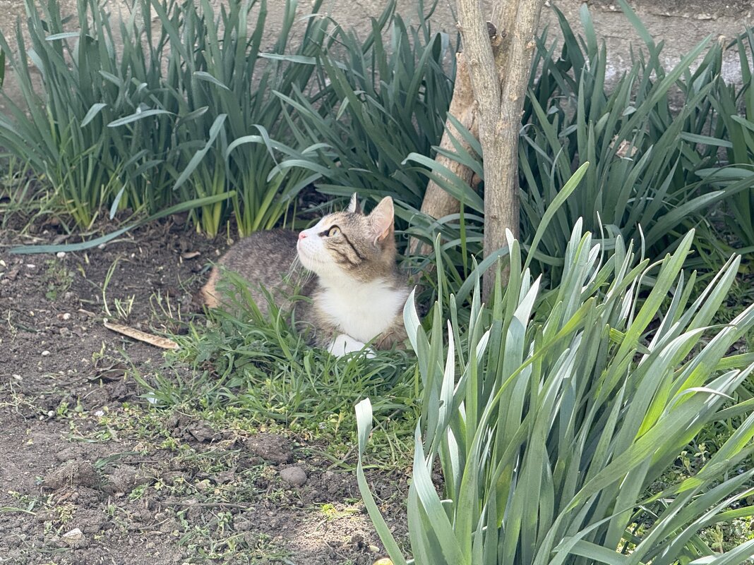 Маруся - Валентина .