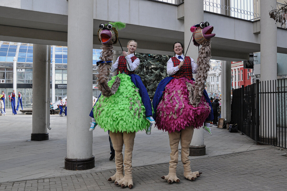 Страусы в городе - Татьяна Машошина Страусы в городе - Татьяна Машошина