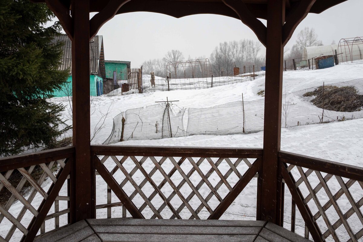 *** - Валерий Михмель 