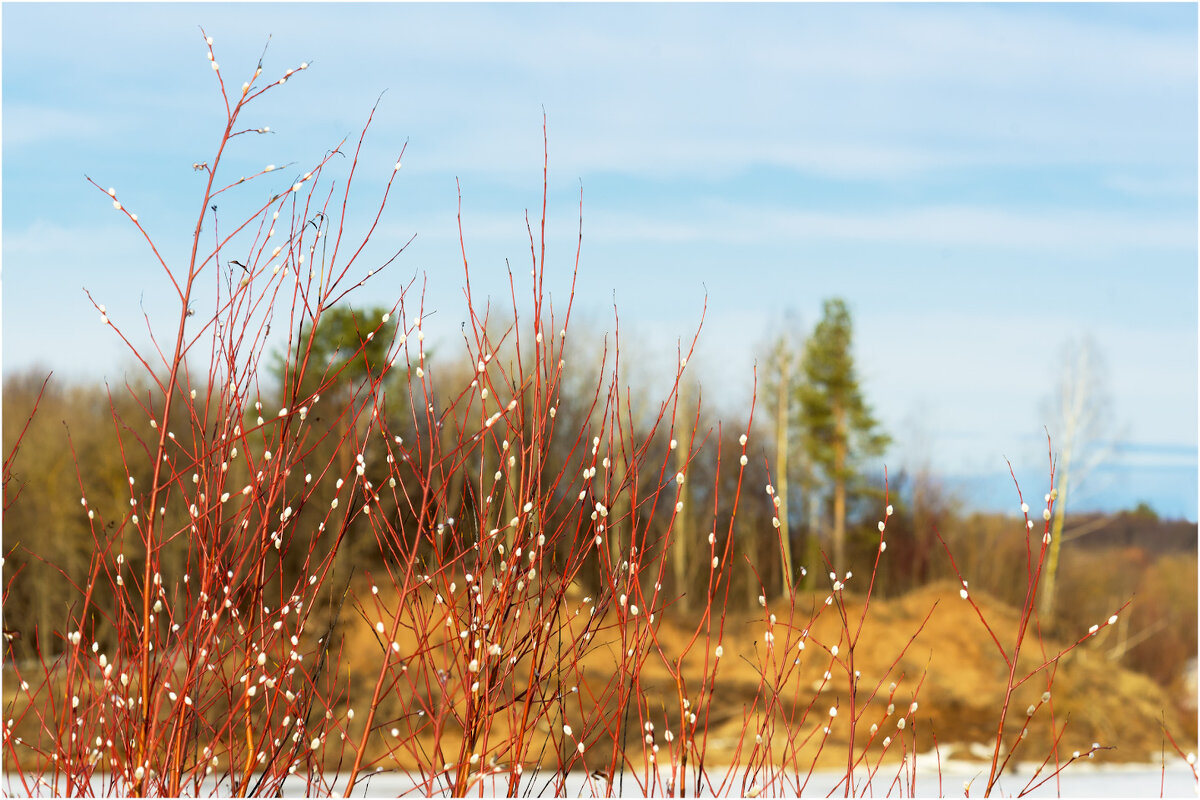 Весенний этюд - Валентин Котляров Весенний этюд - Валентин Котляров