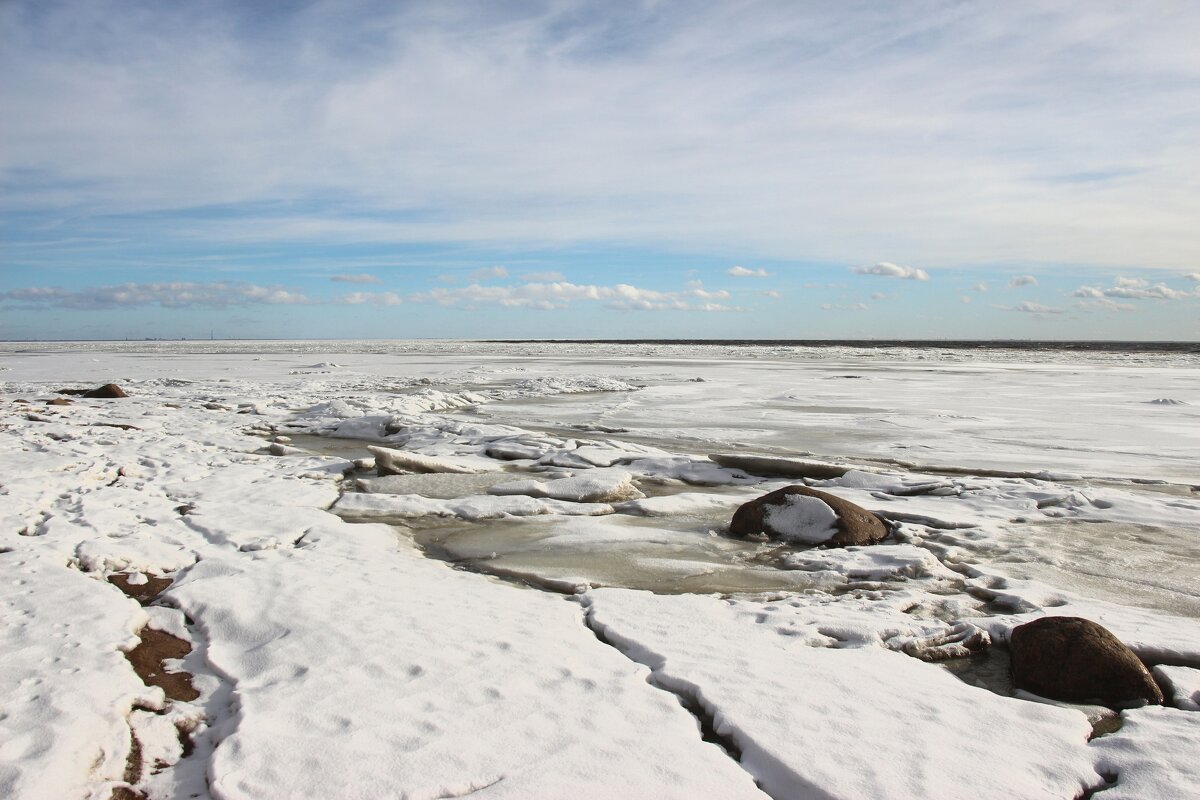 Зеленогорск - Наталья Герасимова