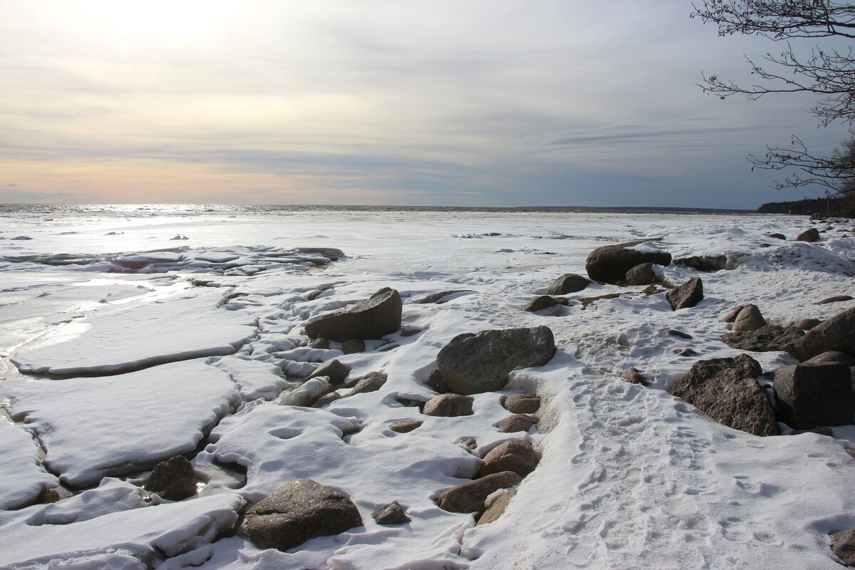 Зеленогорск - Наталья Герасимова