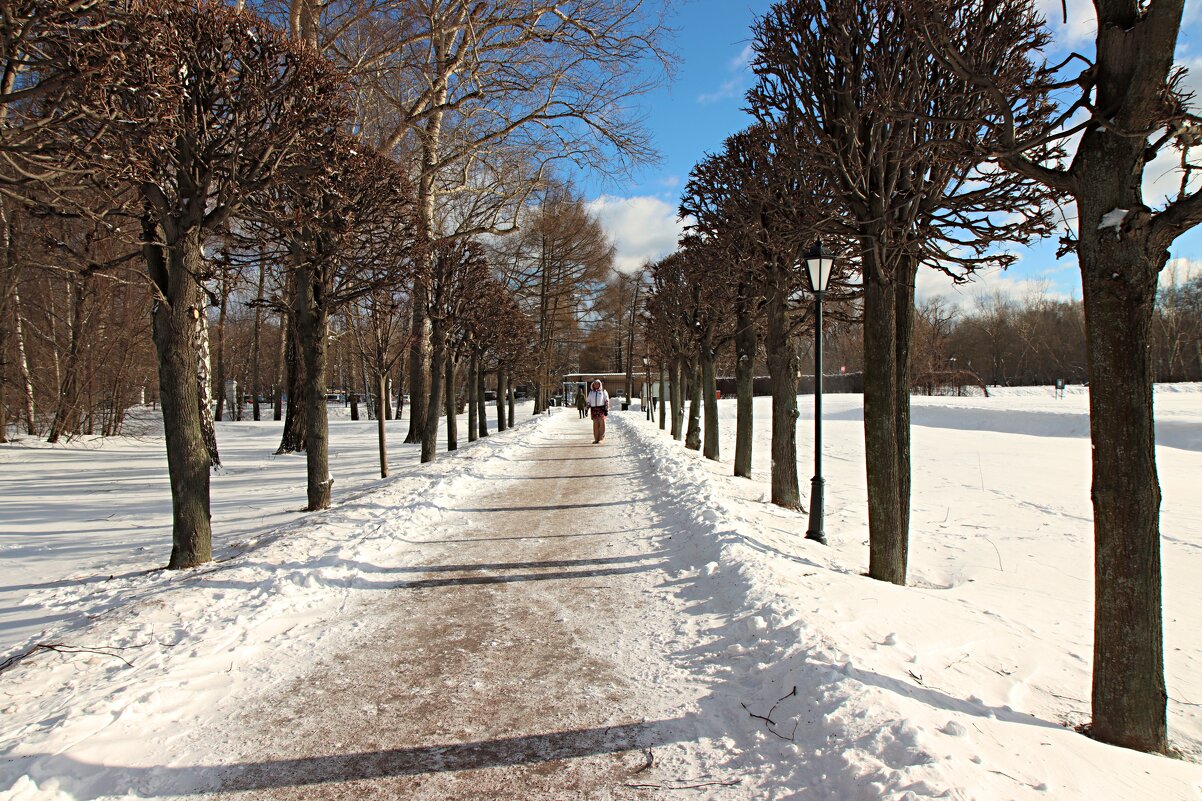 *** - веселов михаил 