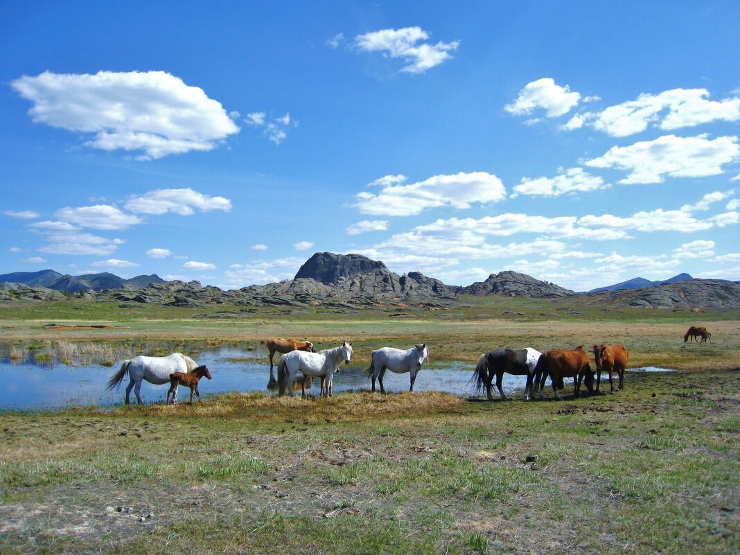 В Баянаульском Национальном парке. - unix (Илья Утропов) В Баянаульском Национальном парке. - unix (Илья Утропов)