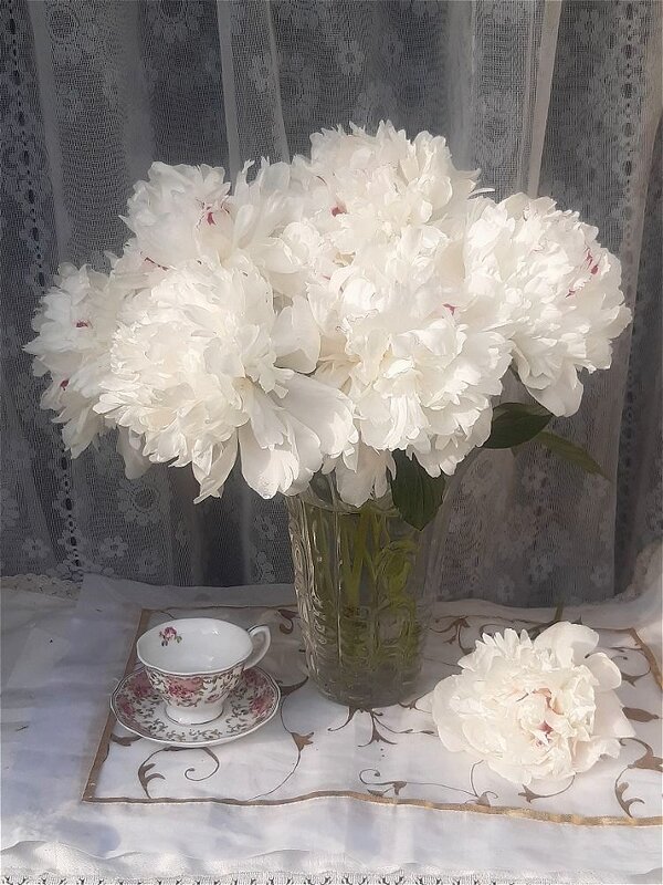 Букет с белыми пионами! - Нина Андронова Букет с белыми пионами! - Нина Андронова