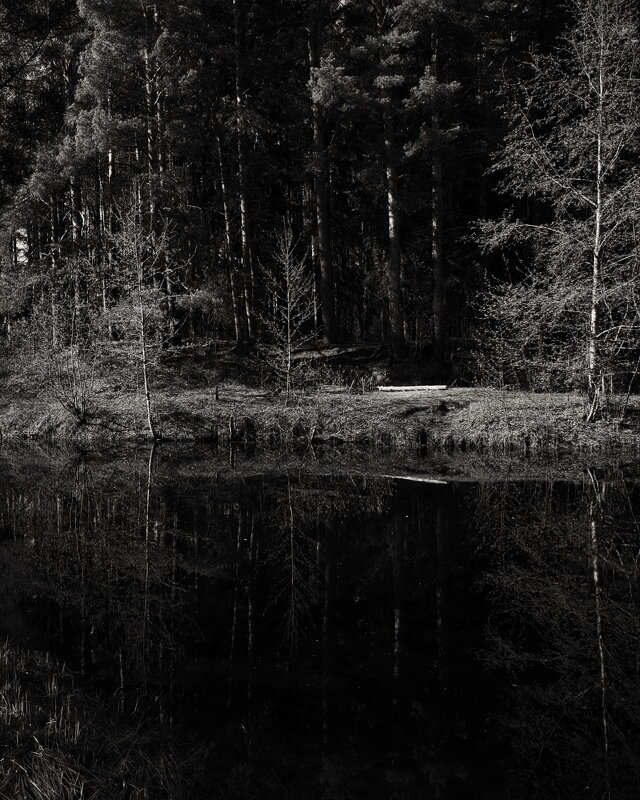 Название отсутствует - Денис Безногов