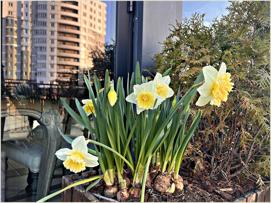 Весна в Рыбной деревне. - Валерия Комова