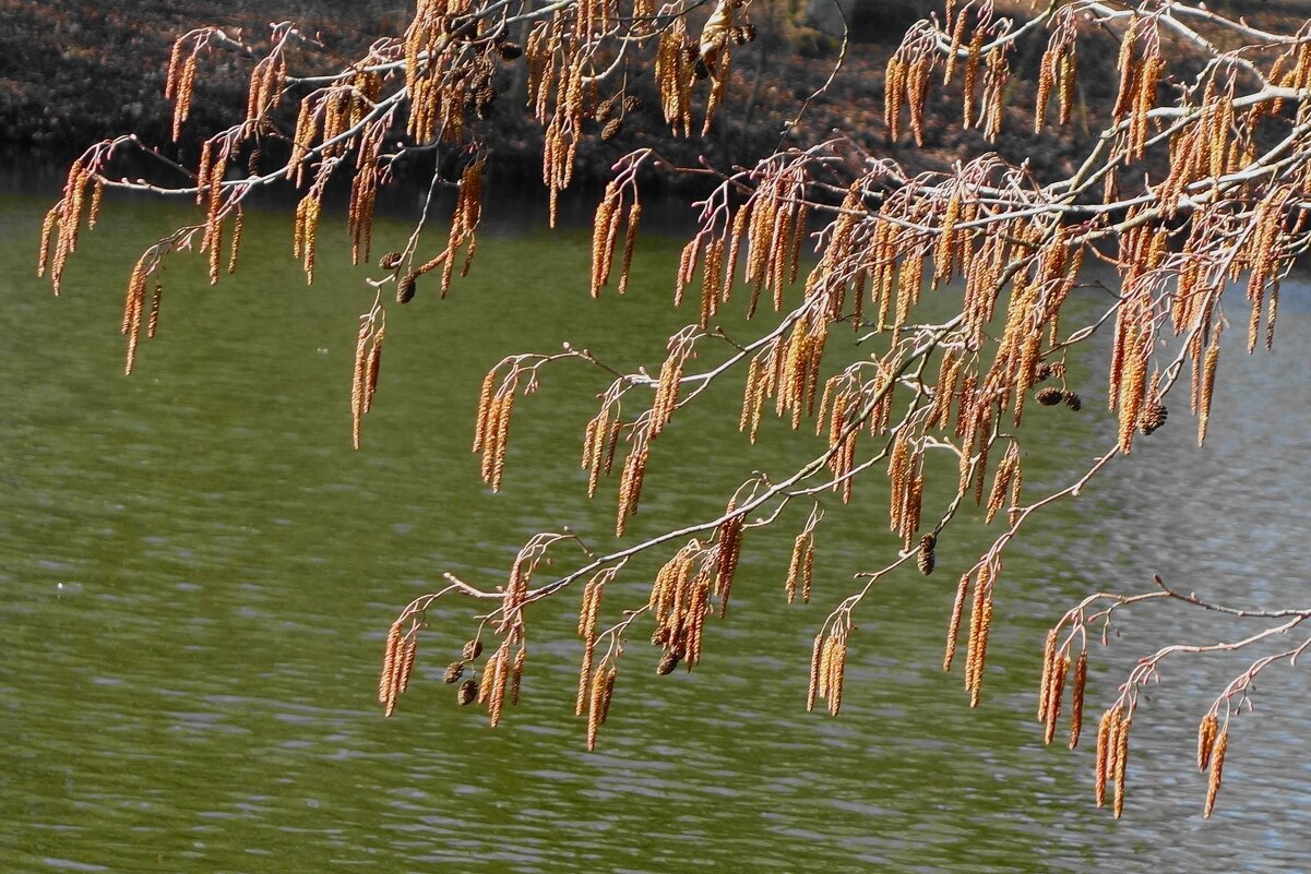 Мартовская зарисовка - Рита Симонова