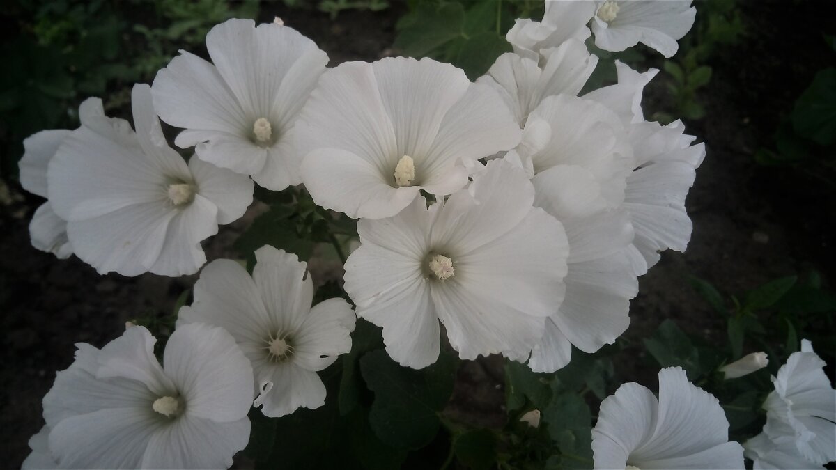 ,,, - Сергей Тимоновский