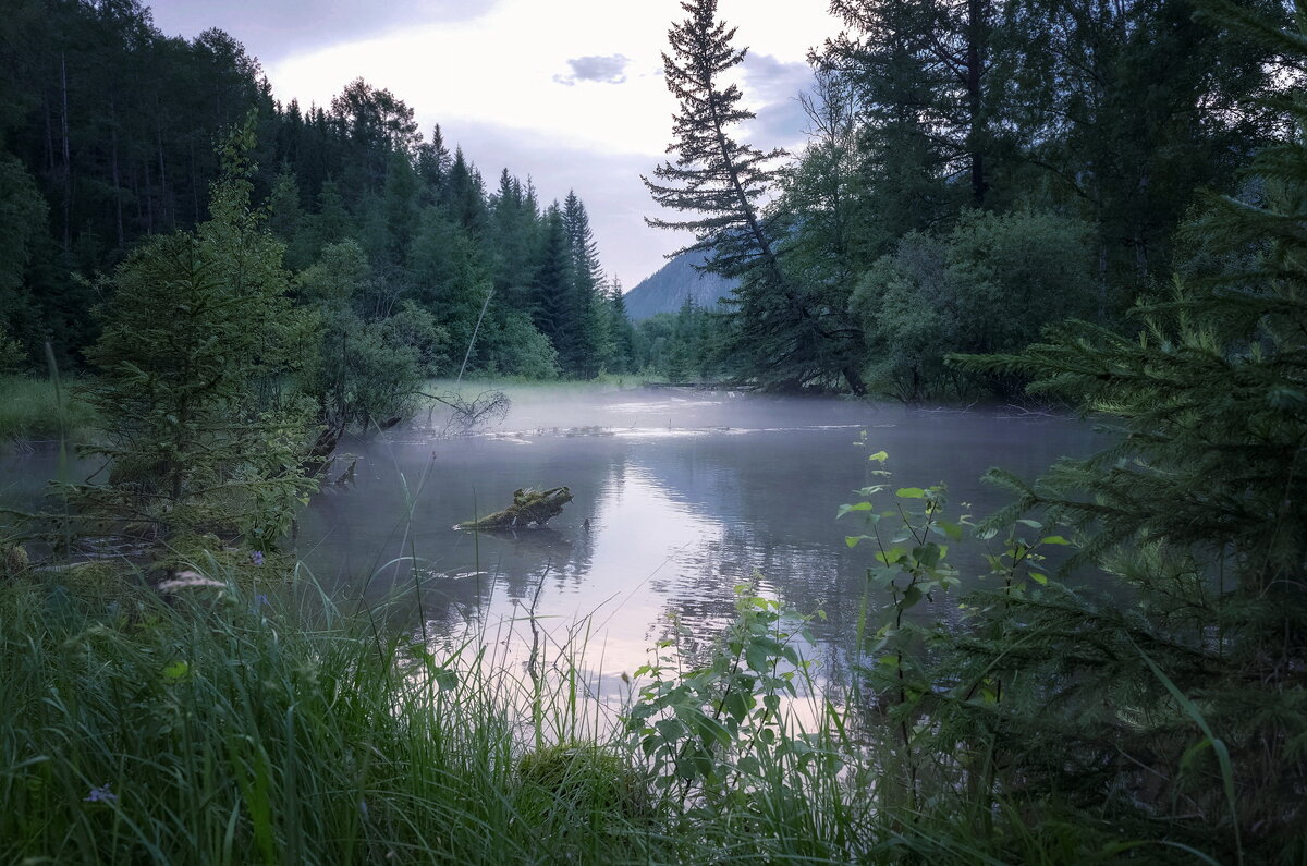 Вечер на болоте - Марина Фомина. Вечер на болоте - Марина Фомина.