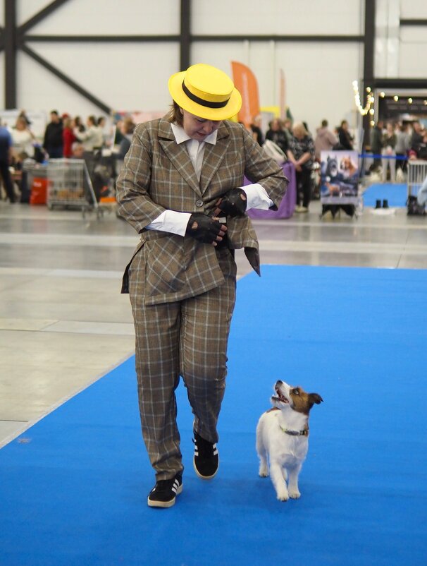 Сейчас будет тебе вкусняшка - Магомед . Сейчас будет тебе вкусняшка - Магомед .