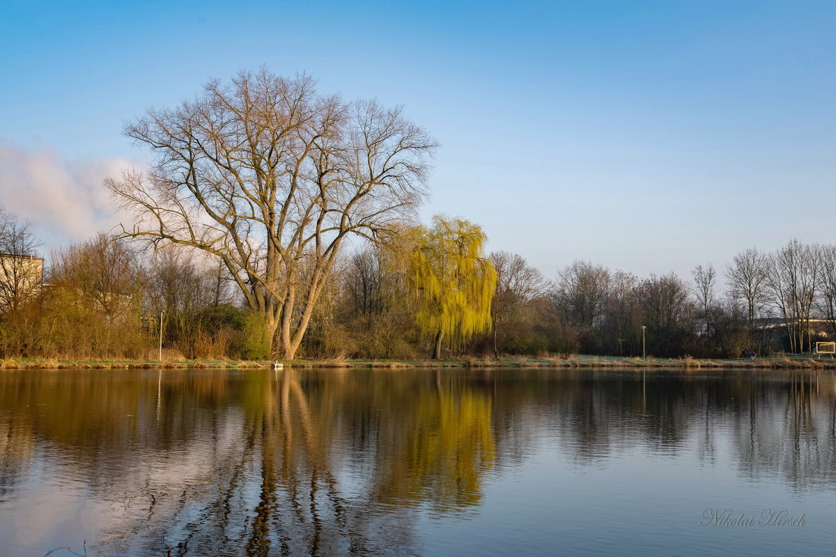 Тополя впереди... - Николай Гирш Тополя впереди... - Николай Гирш