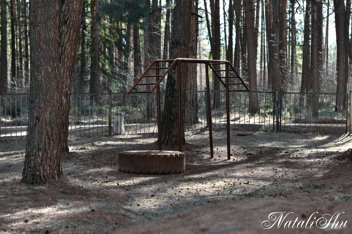Советские тренажёры у леса. - Наталья Вязигина