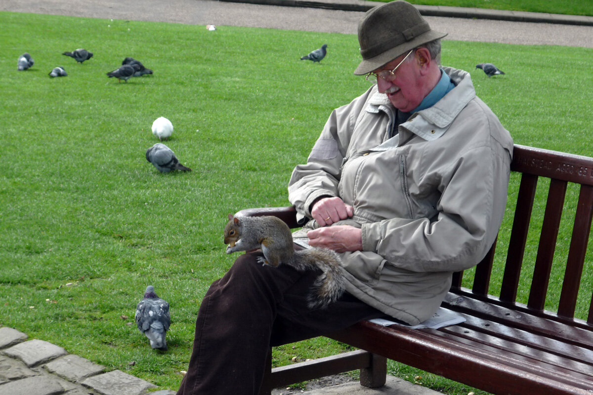 Джентльмен с белкой - Ирина Ватолина Джентльмен с белкой - Ирина Ватолина