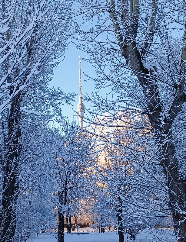 Останкинская телебашня - Елена Аксамит Останкинская телебашня - Елена Аксамит