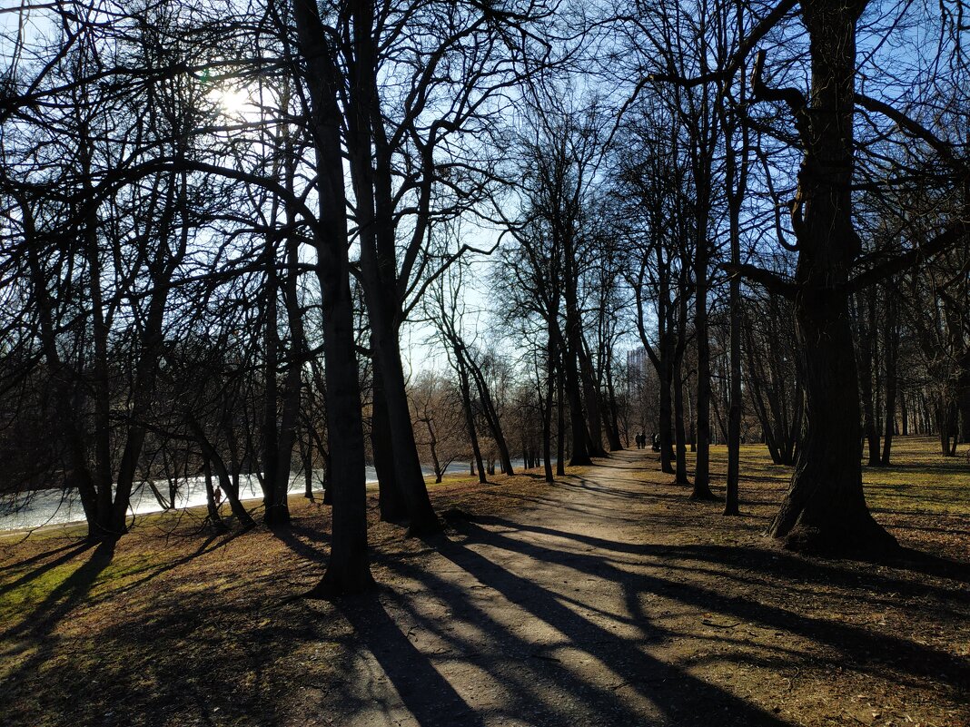 Сезон теней - Андрей Лукьянов Сезон теней - Андрей Лукьянов