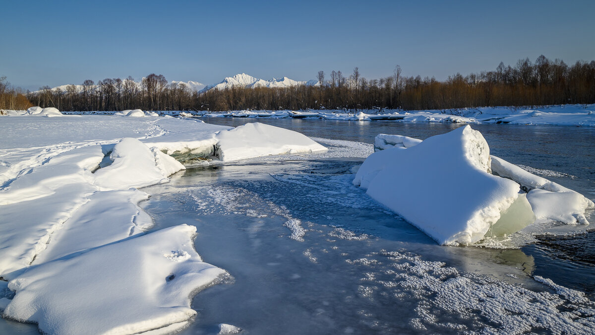 ... - Жора Житников