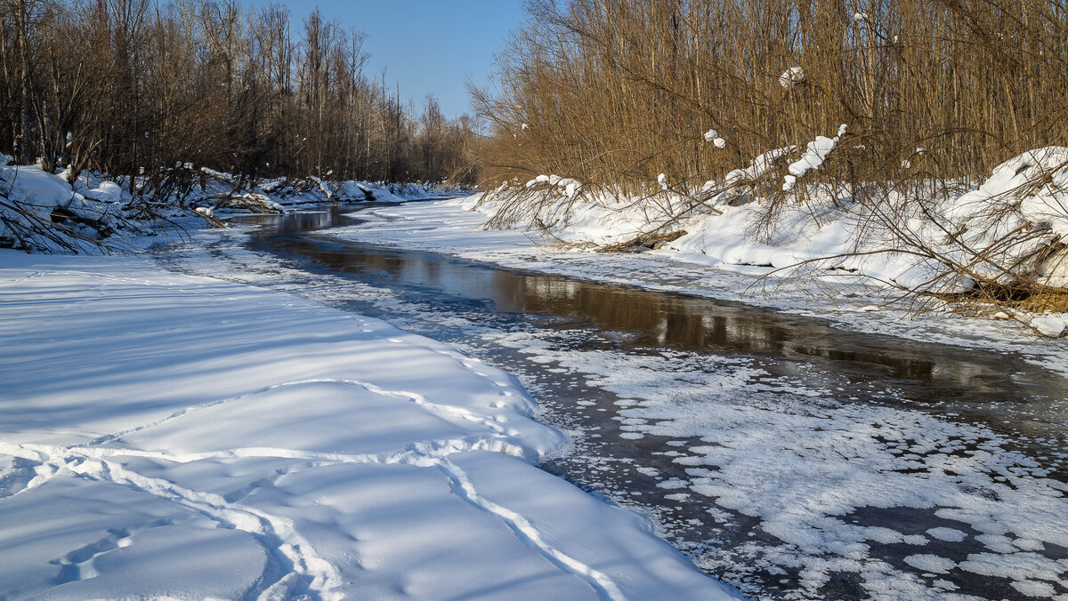 ... - Жора Житников ... - Жора Житников