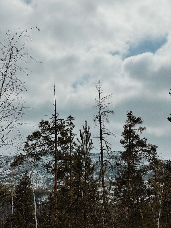 Небеса - Георгиевич 