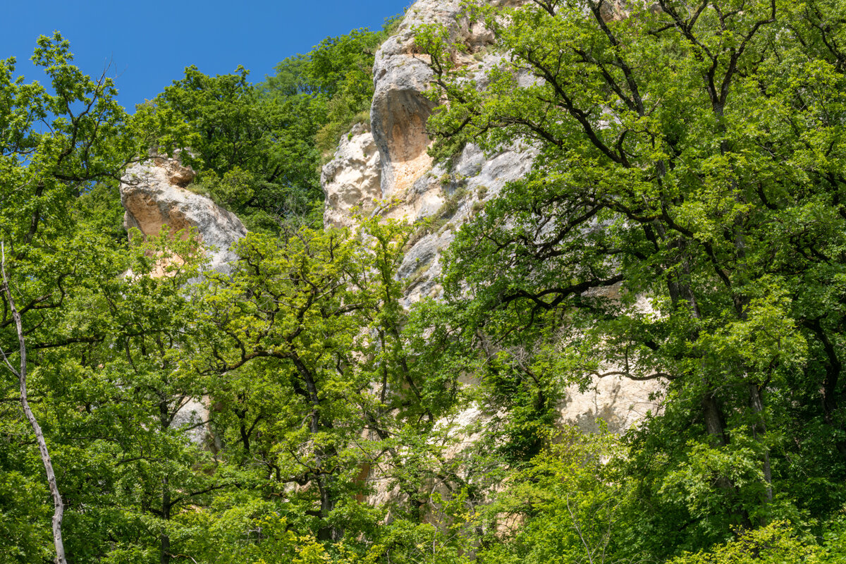 Адыгея - Игорь Сикорский