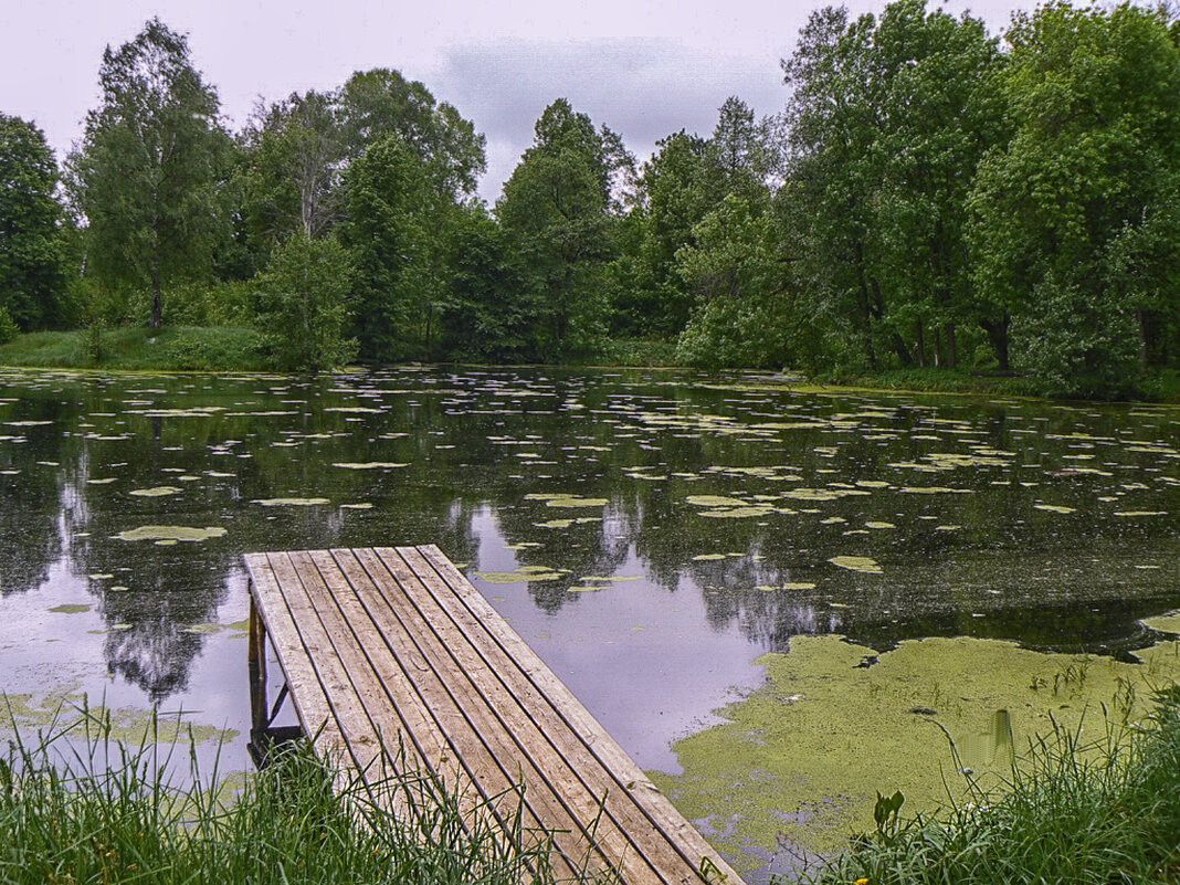 У пруда - Сергей Цветков