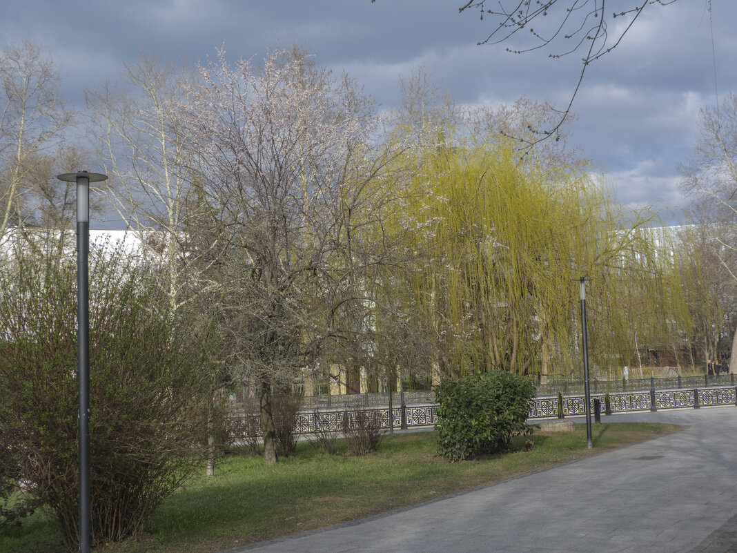 Весенний этюд - Валентин Семчишин