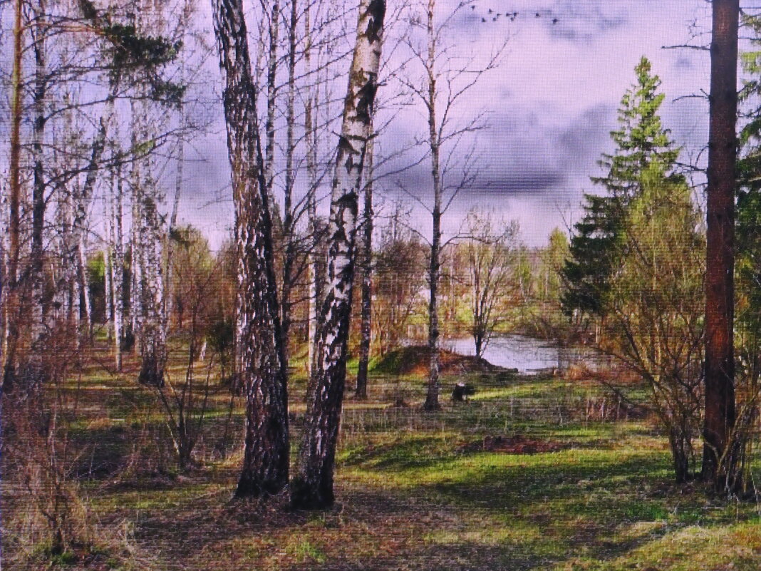 Хмурый мартовский денёк - Людмила Смородинская Хмурый мартовский денёк - Людмила Смородинская