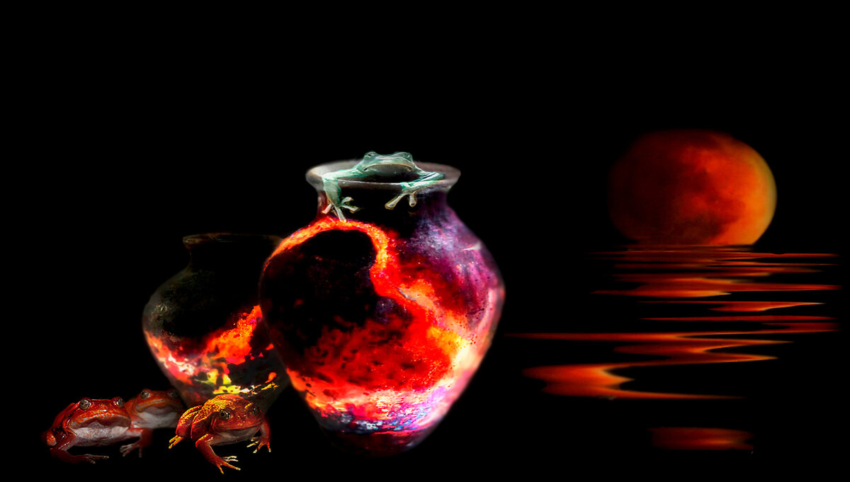 Лягушата  и  кувшин - Е.М. ***