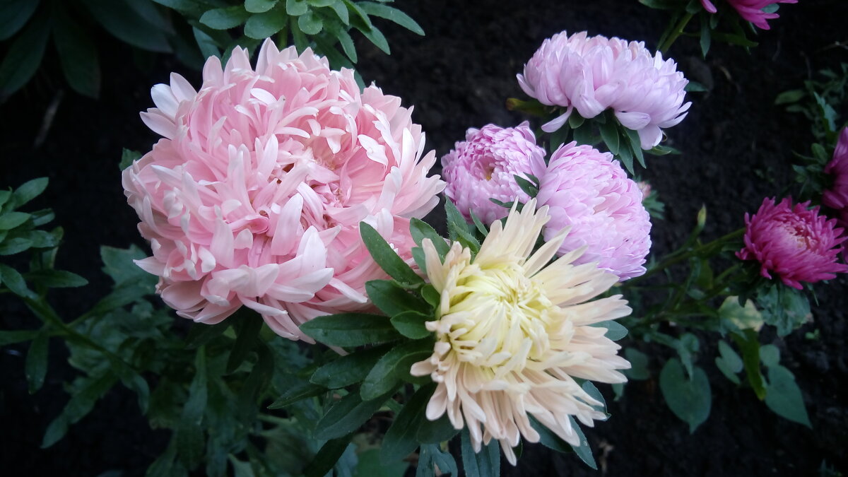 ,,, - Сергей Тимоновский ,,, - Сергей Тимоновский