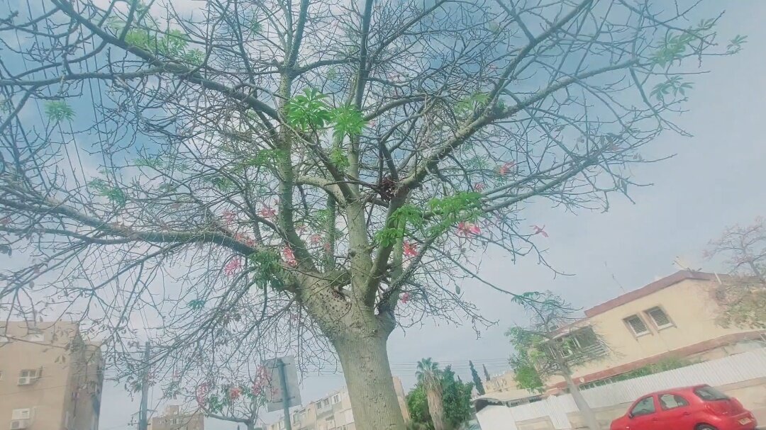 12  КЛОС (839) - CLOSE WAYS ALL