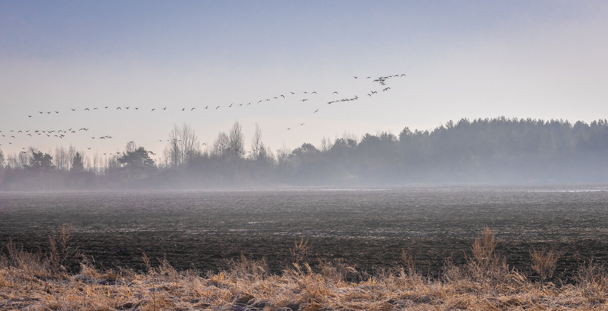 **** - Елизавета .