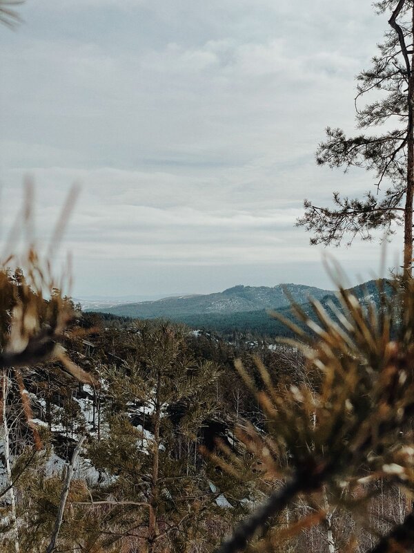 Март в горах - Георгиевич 