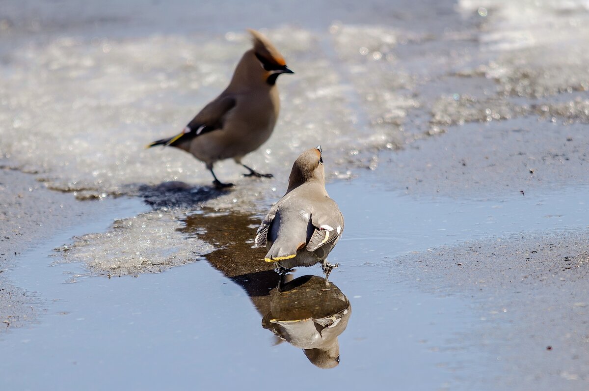Когда хочется пить. - Виктор Иванович Чернюк Когда хочется пить. - Виктор Иванович Чернюк