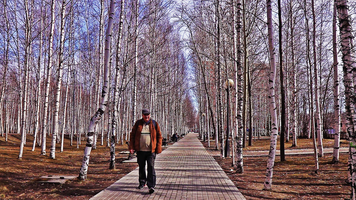 Апрель...По березовой аллее! - Владимир 