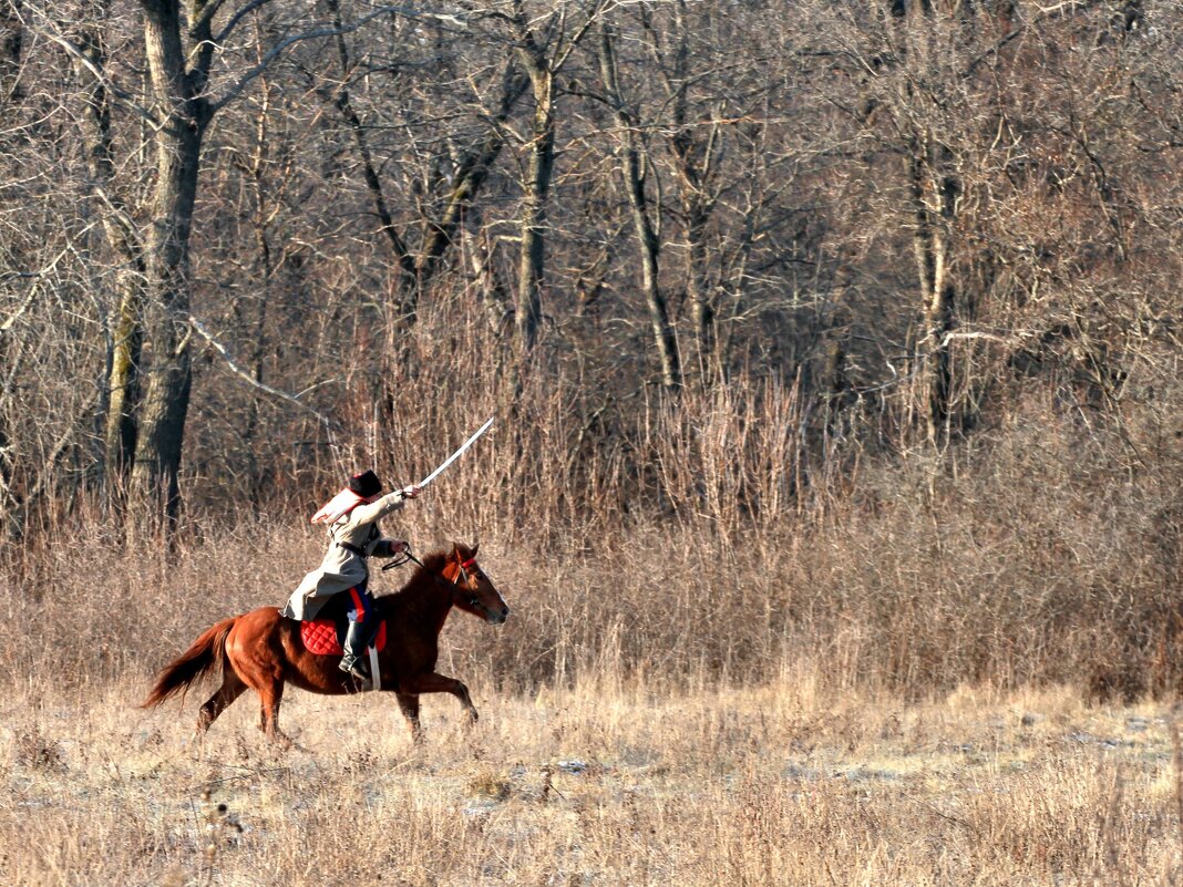 Сборы - Олег Денисов Сборы - Олег Денисов