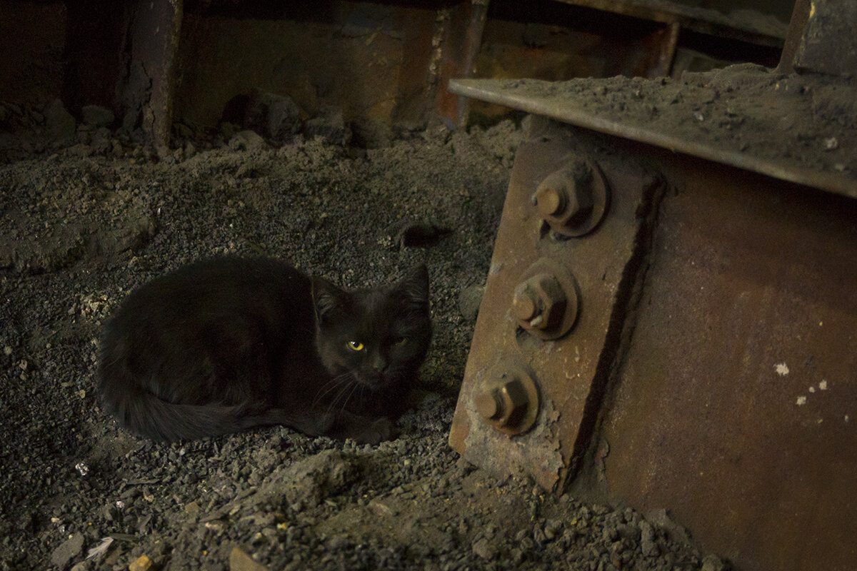 Местный   /серия "Промзона"/ - Владимир Носов