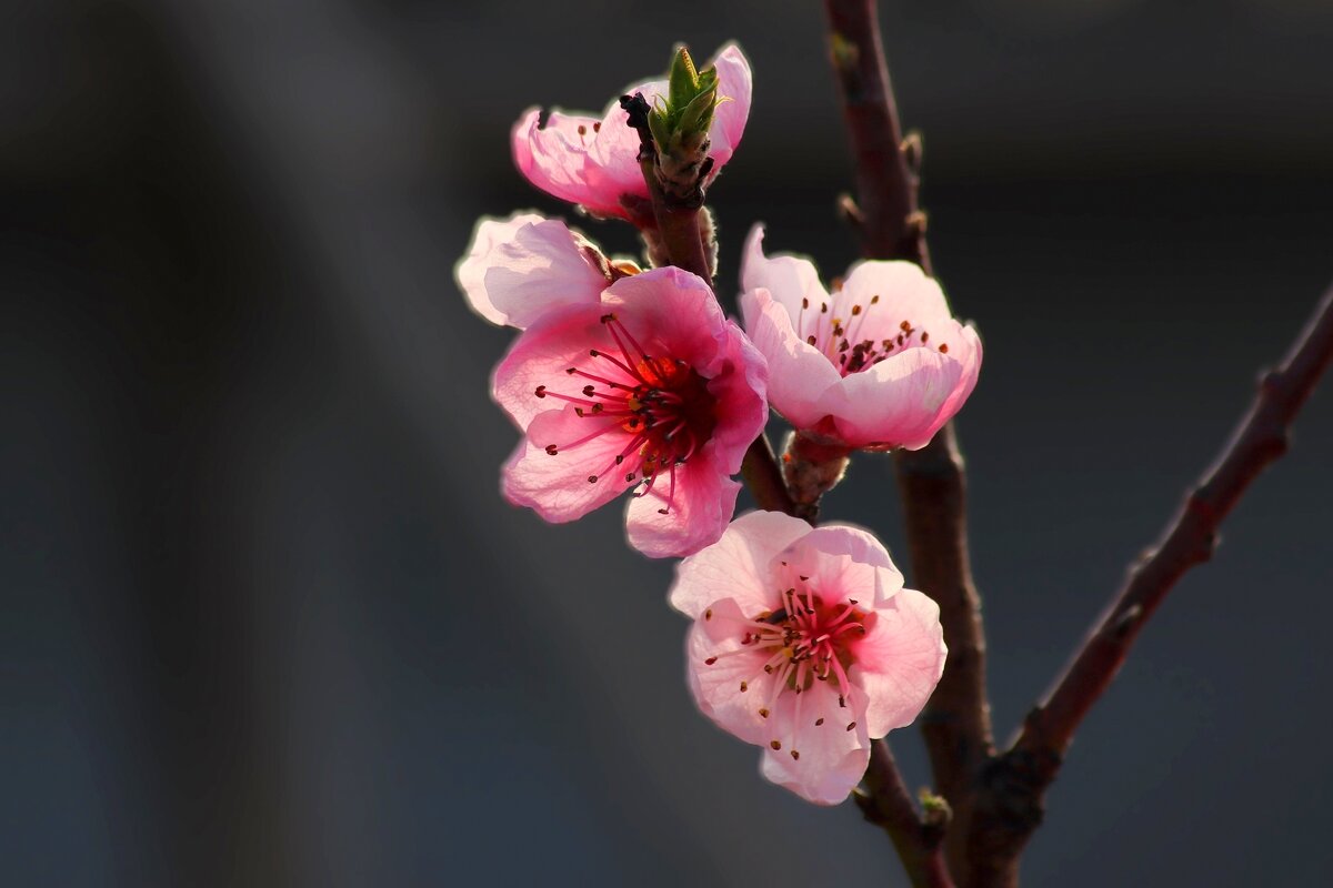 Доброе утро - Юрий. Шмаков Доброе утро - Юрий. Шмаков