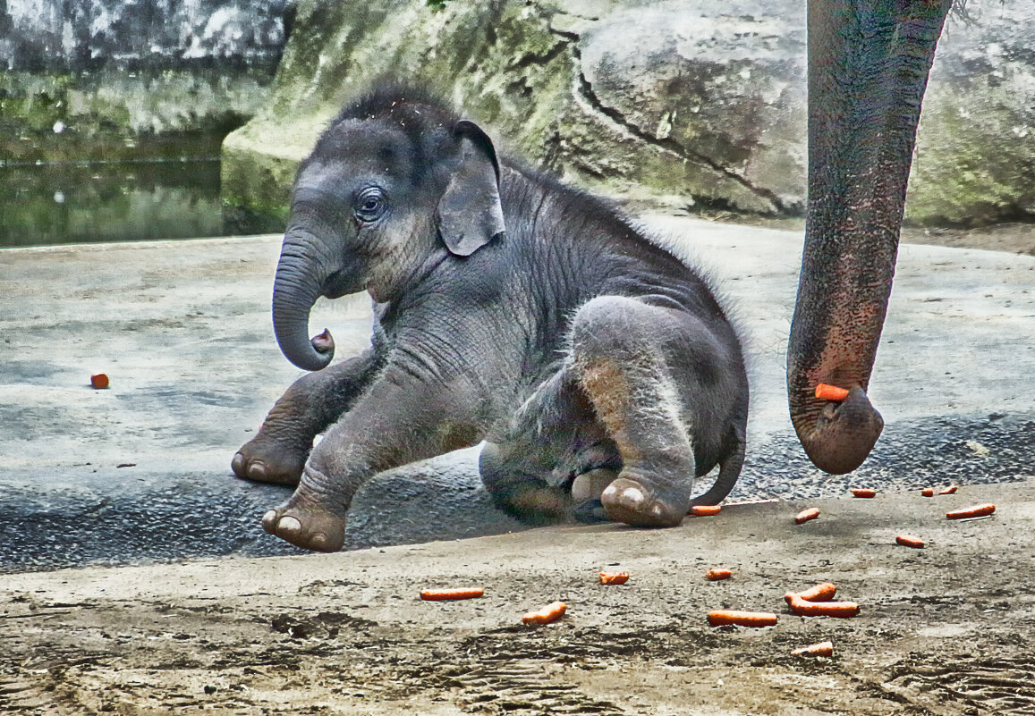 Вставай - Андроник Александр 