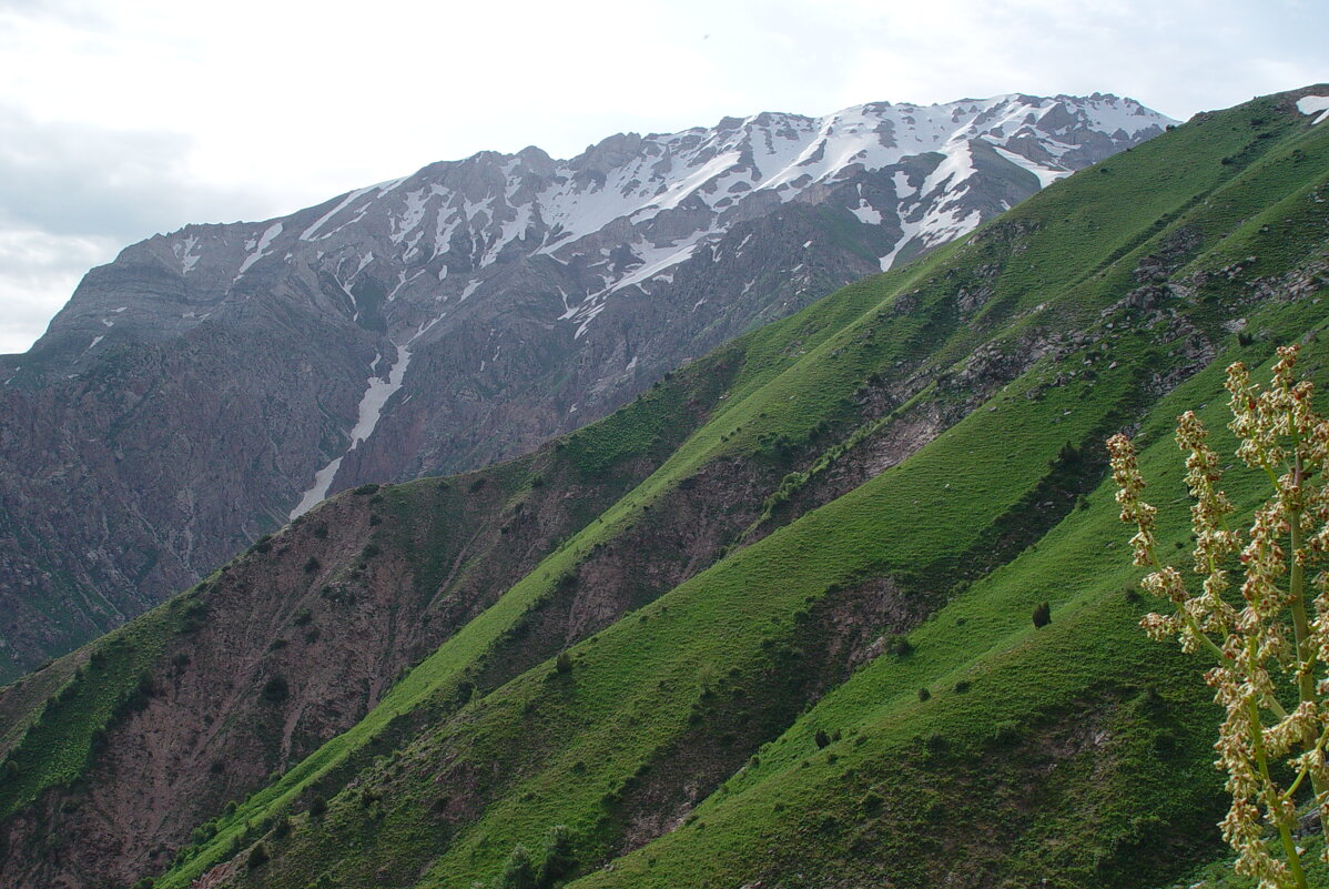 ПРОГУЛКА НА БОЛЬШОЙ ЧИМГАН 3300м. - Виктор Осипчук