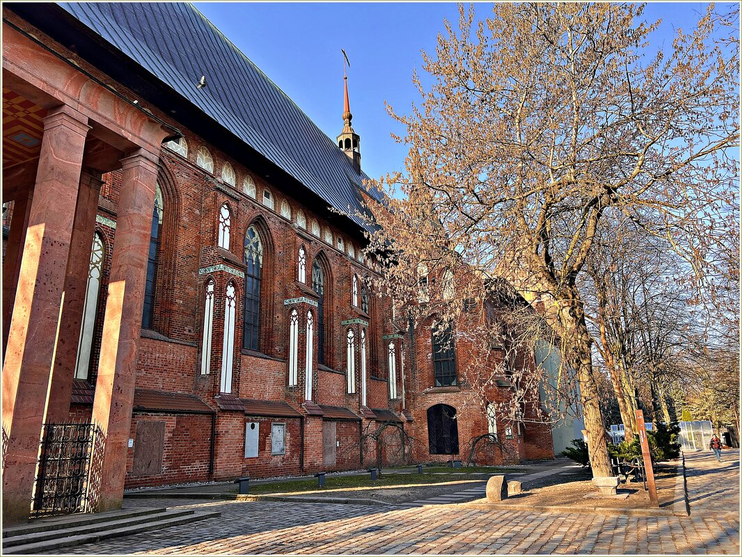 Фрагмент Кафедрального собора. и могилы И. Канта. - Валерия Комова