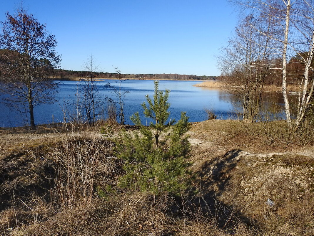 весна - ИННА ПОРОХОВА