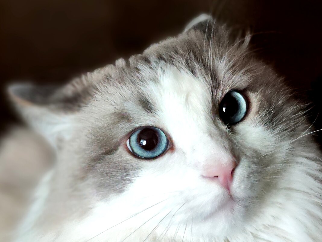 Очень страшно - Ирина Ватолина