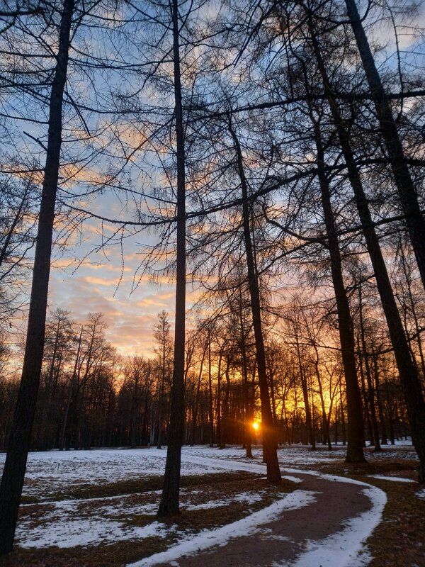 Рассвет - Сапсан 