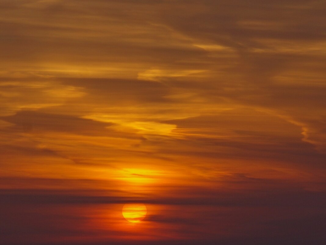 Утреннее солнце - Сергей Швечков Утреннее солнце - Сергей Швечков